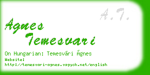 agnes temesvari business card
