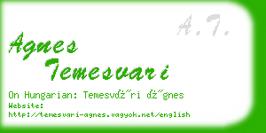 agnes temesvari business card